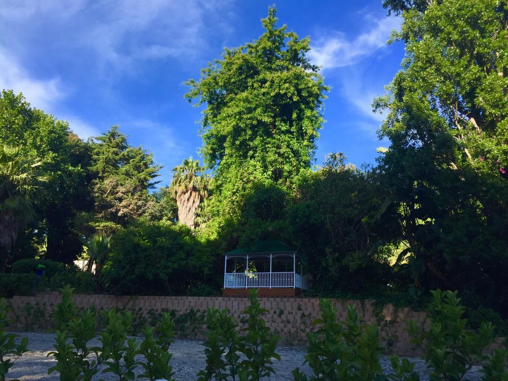 Bed and Breakfast The White Manor Ciudad del Cabo Exterior foto