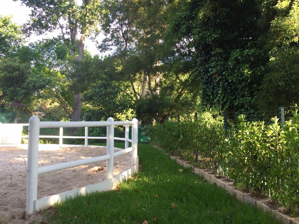 Bed and Breakfast The White Manor Ciudad del Cabo Exterior foto